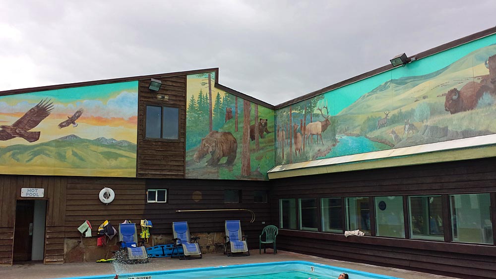 White Sulphur Springs Flying The Koop